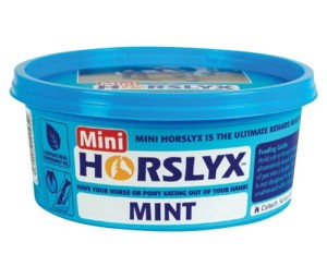 lizawka-horslyx-mint-niebieska.jpeg