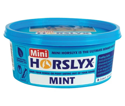 lizawka-horslyx-mint-niebieska.jpeg