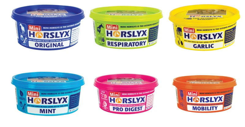 lizawka-horslyx-mint-niebieska.png