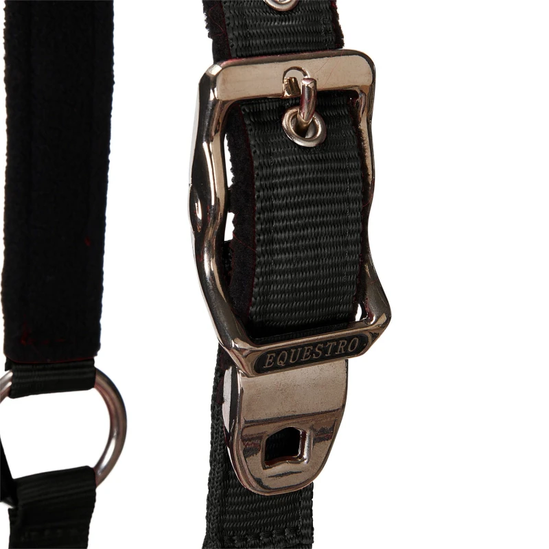 CA00032_BK-3.jpg