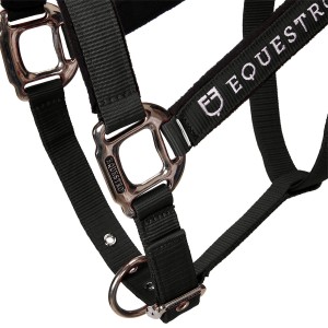 CA00032_BK-7.jpg