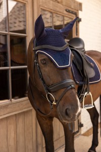 8cbd30840f7ce74902497f775be6e0a459f8f4379f9198e9476ebe04653db31f.jpg